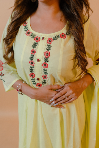 Anarkali set with Embroidery Work